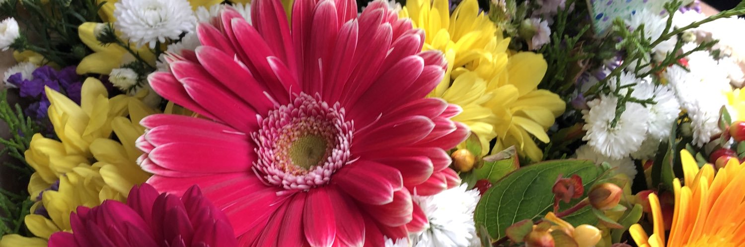 Maria Alexandra Azar banner