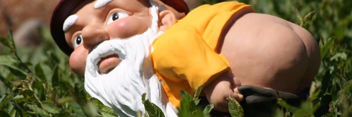 Gnome Census banner