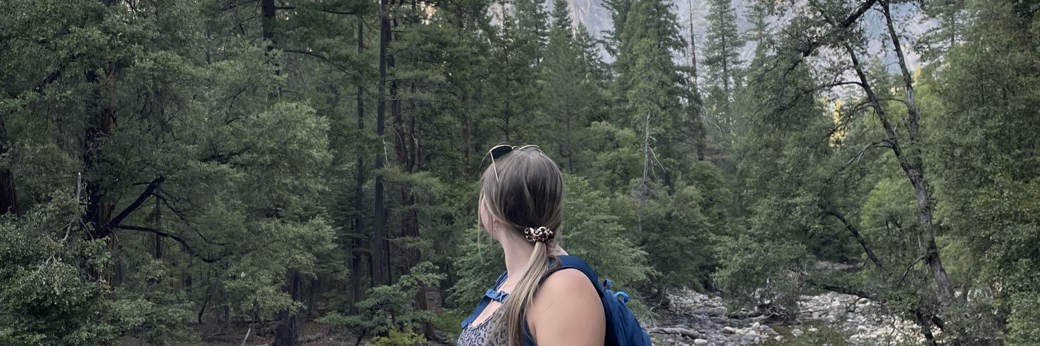 cam_noel17's profile banner image