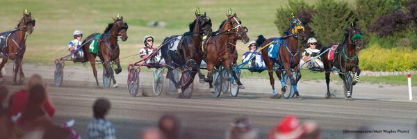 trotinsider Profile Banner