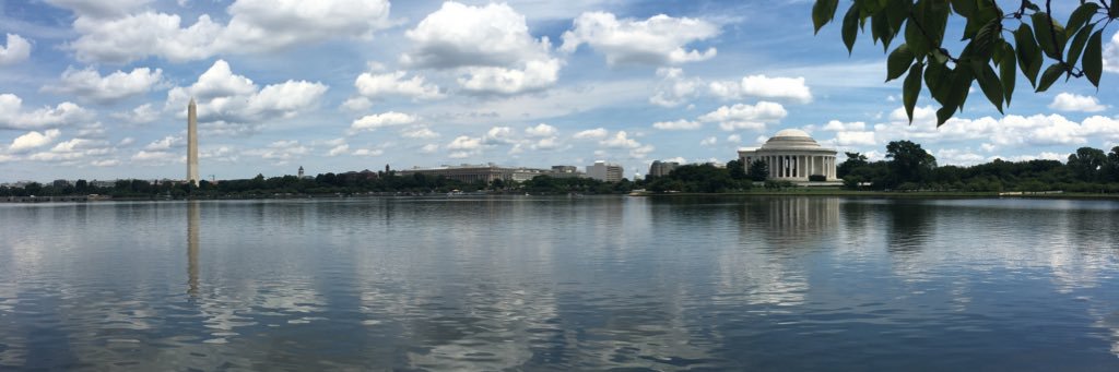 Lisa Geller, MPH banner