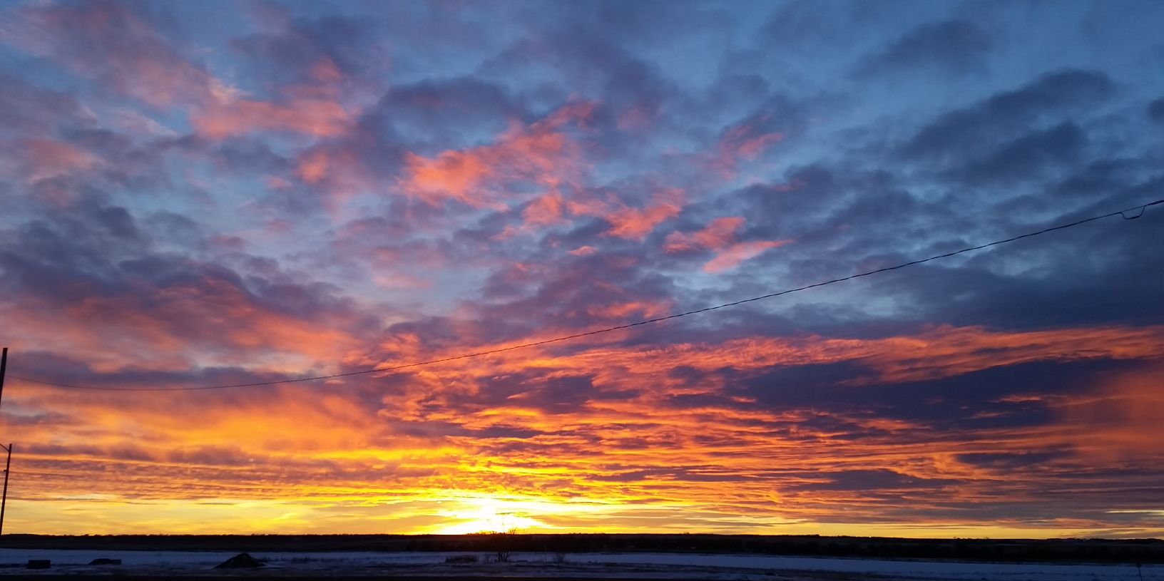 Michele One L banner