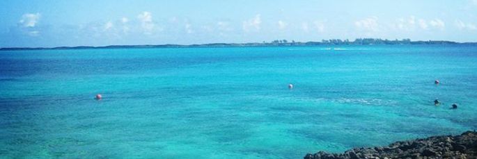 DaniellePJ4's profile banner image