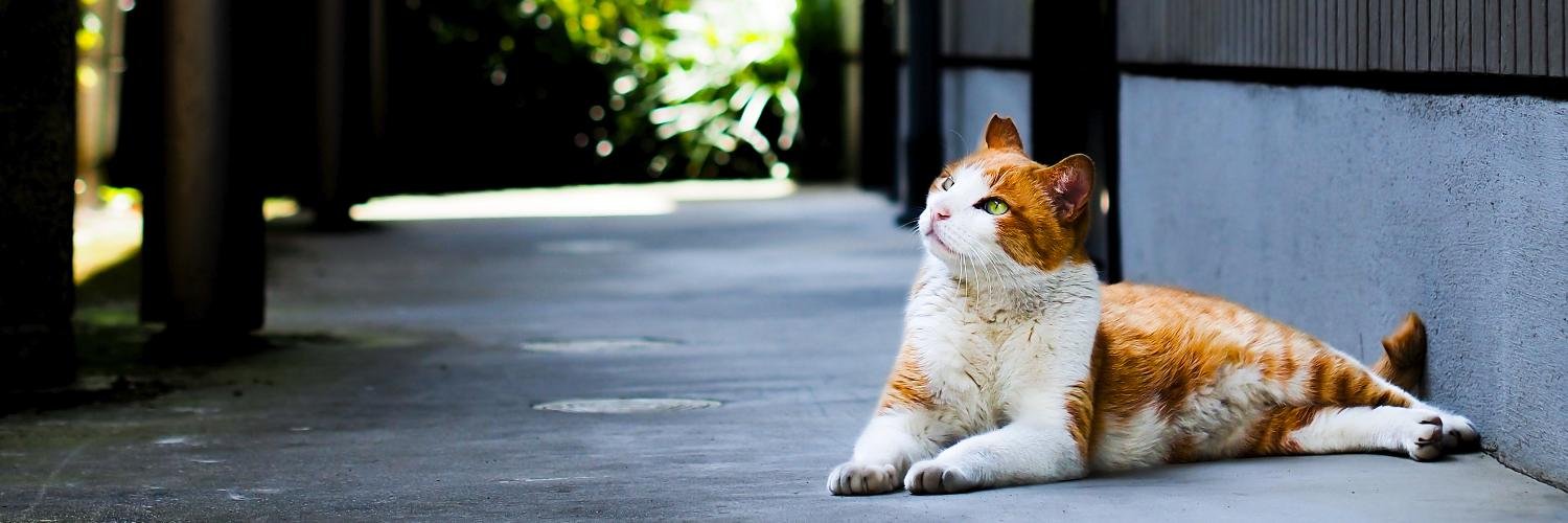 一二三@コスプレカメラマン banner