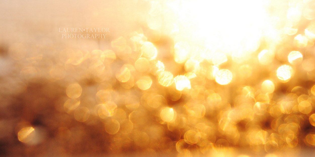 halie_leep's profile banner image