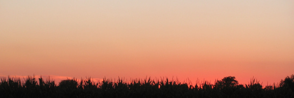josephofiowa Profile Banner