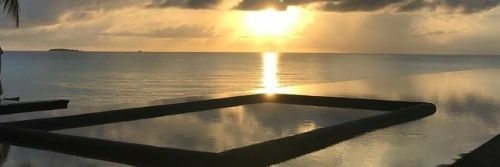 The Young & The Bitchless banner