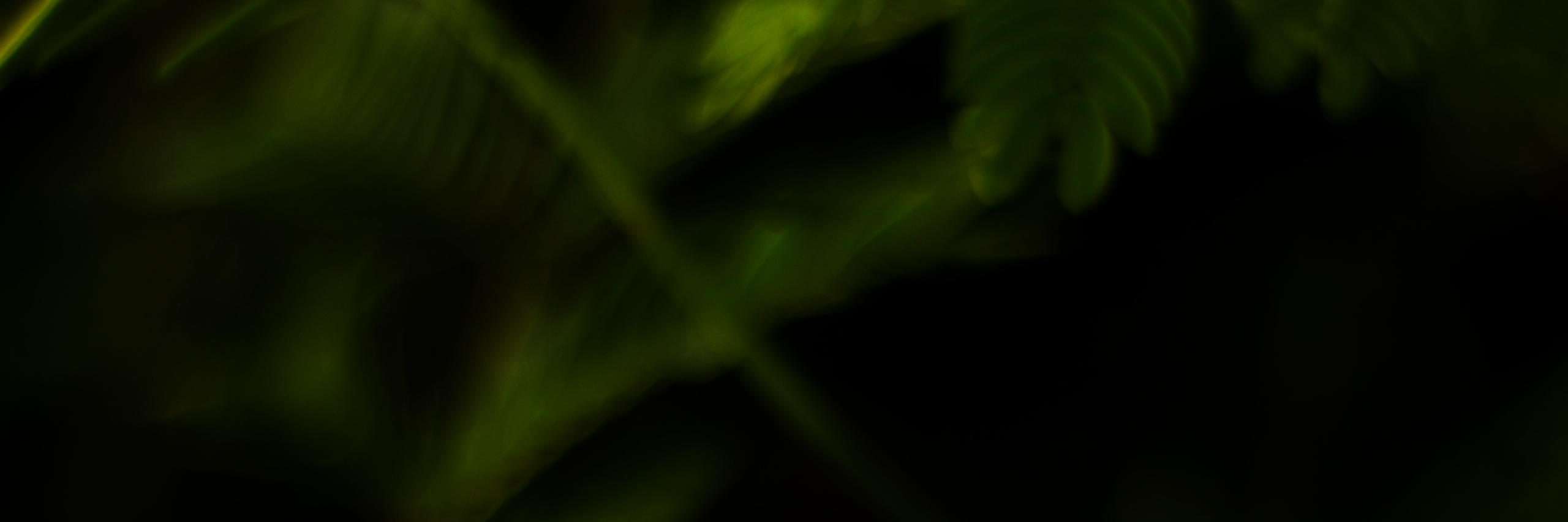 chris808beats's profile banner image