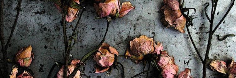 c_ciaraa's profile banner image