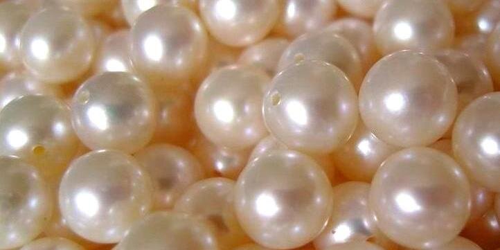 Beta Kappa Chapter banner