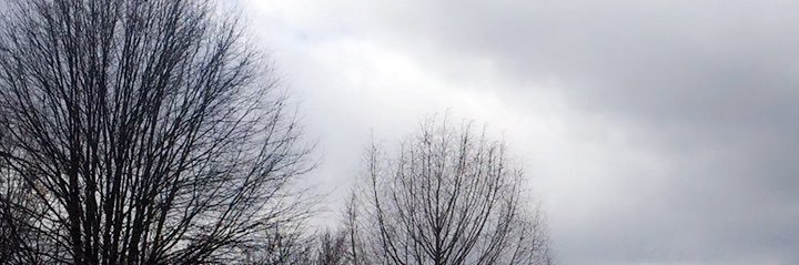 HJarash's profile banner image