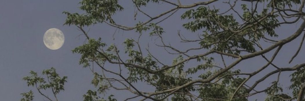 Maried Cavides banner