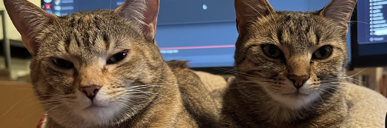 Andi Privitere banner