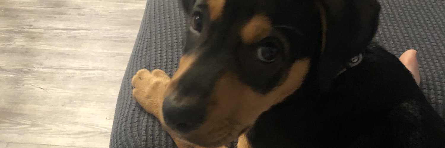 kalipaigeee's profile banner image