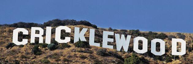 stewspurs's profile banner image