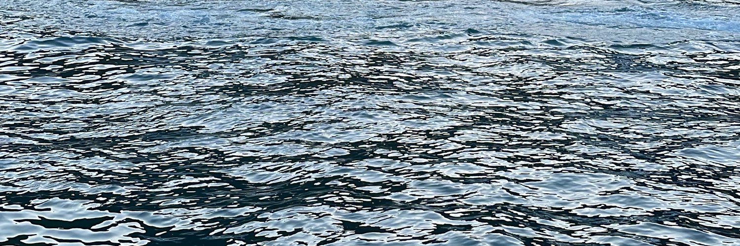 evaestefaniam's profile banner image