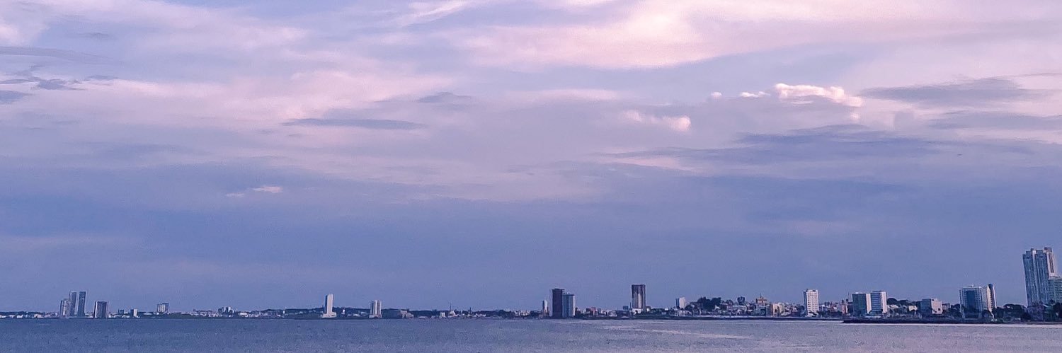 Ana Merodio banner