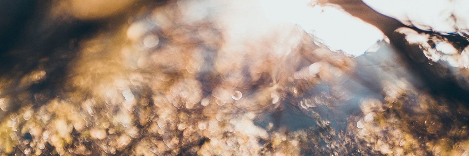 Jonathan Valverde banner