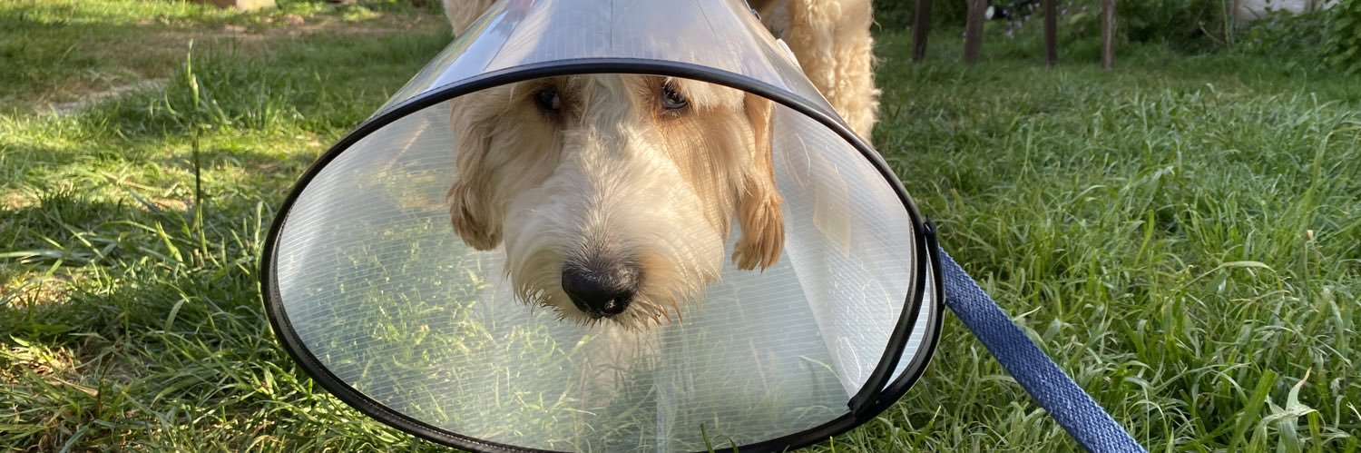 Tim Cross-Brown banner