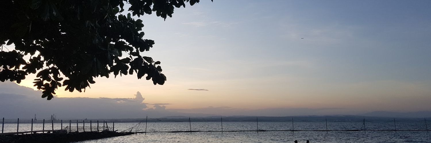 fijip1nay's profile banner image