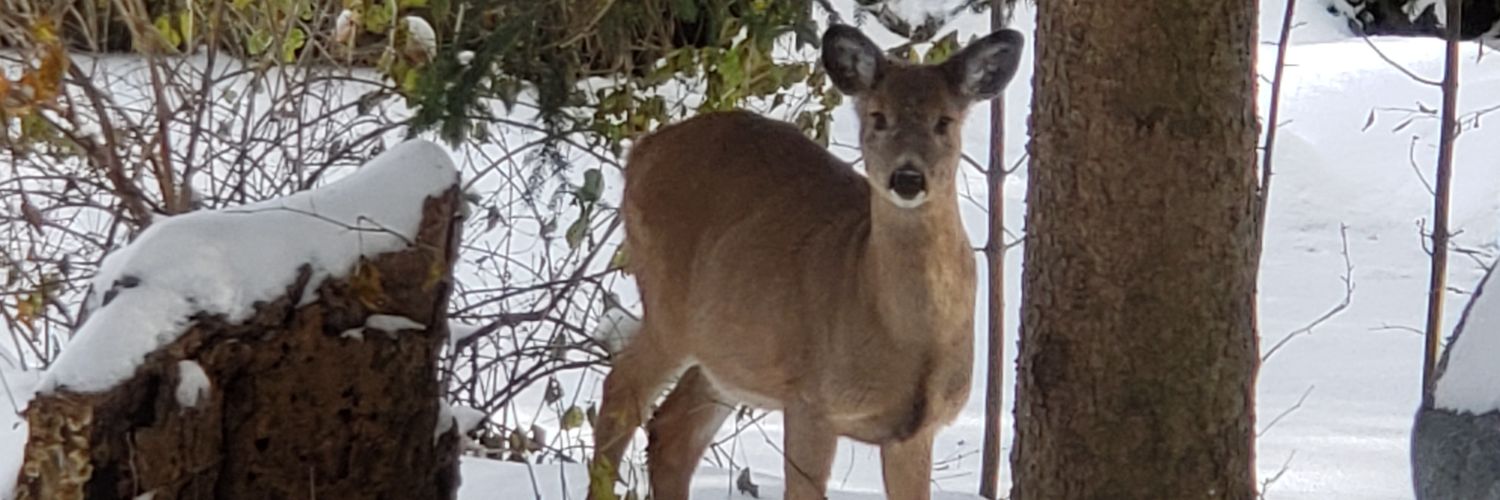 FoodplotsPaul's profile banner image