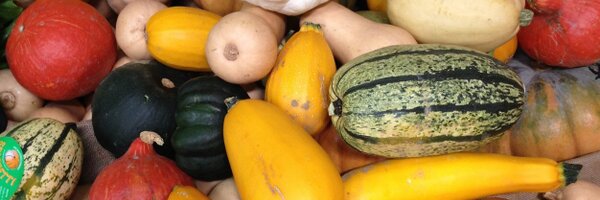 chefmattstone Profile Banner