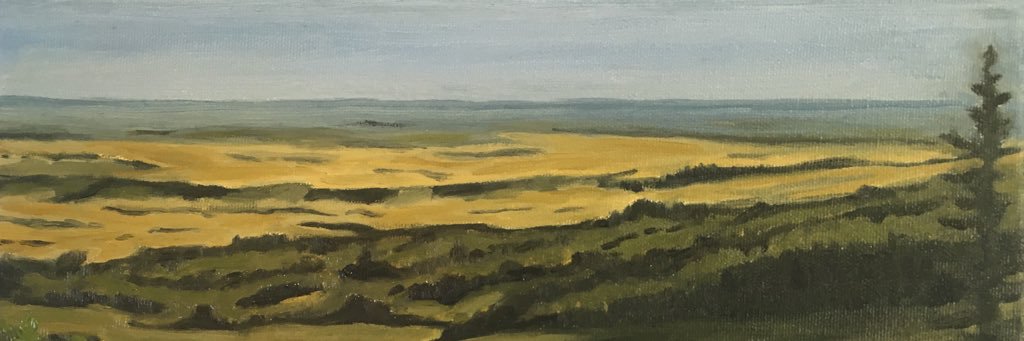 TaniaNault's profile banner image