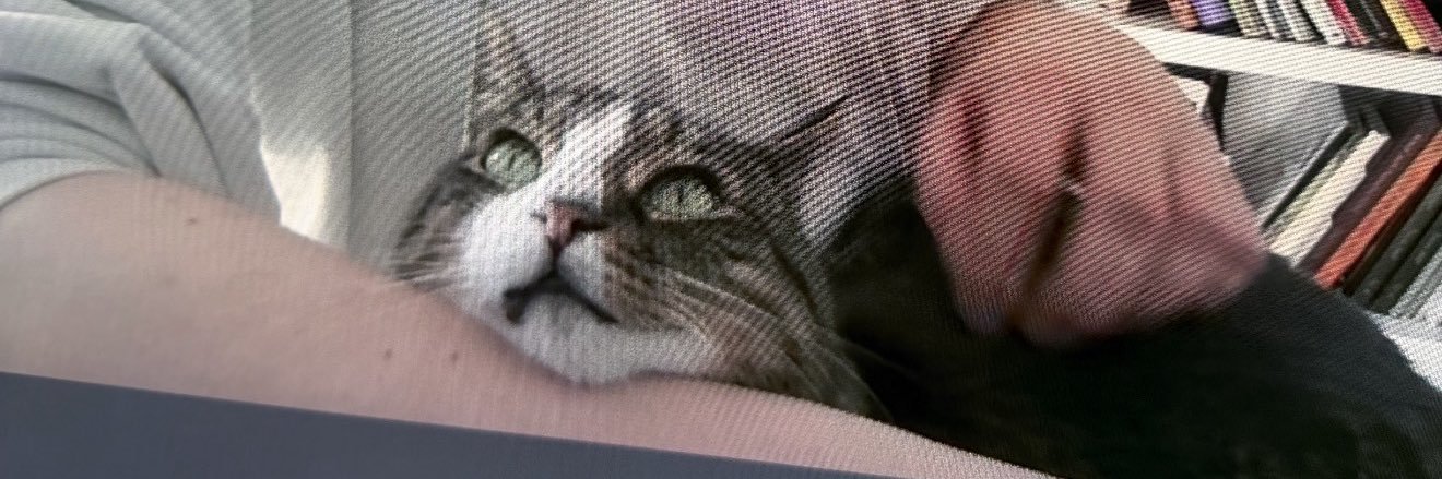 Chris Andersen banner