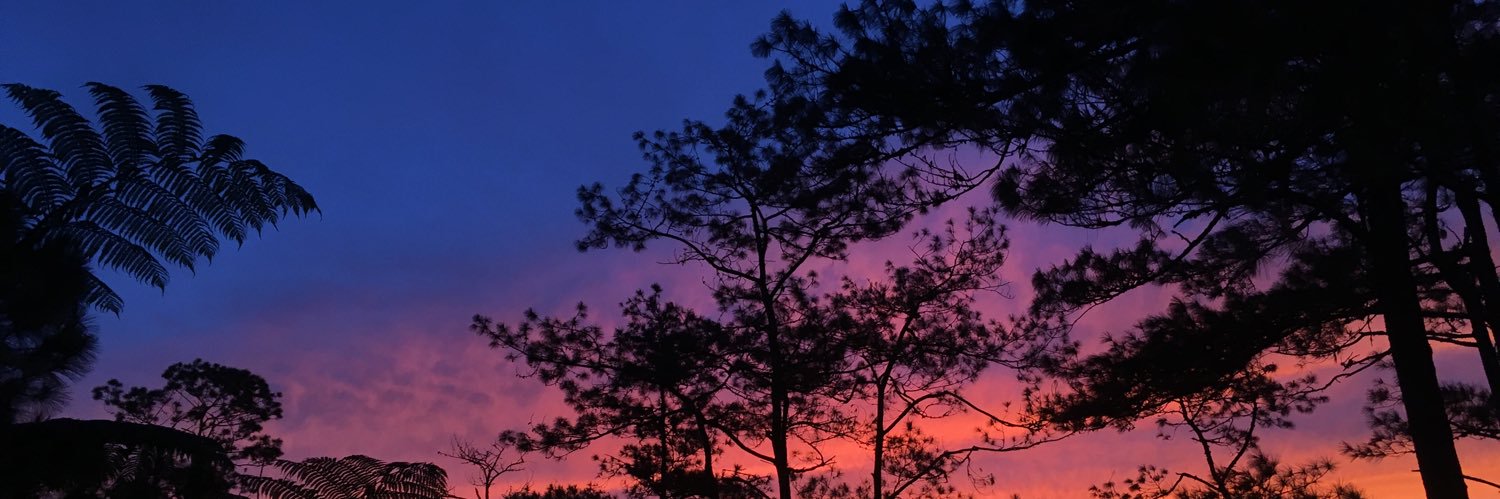 ynahdesu's profile banner image