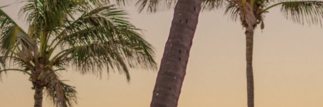 Kaylawincko's profile banner image
