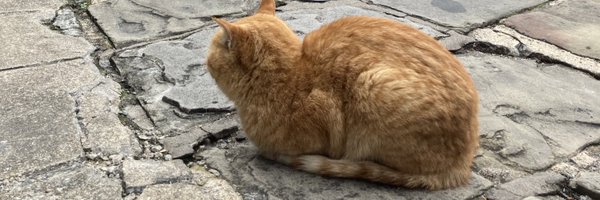 kazukieguchi Profile Banner