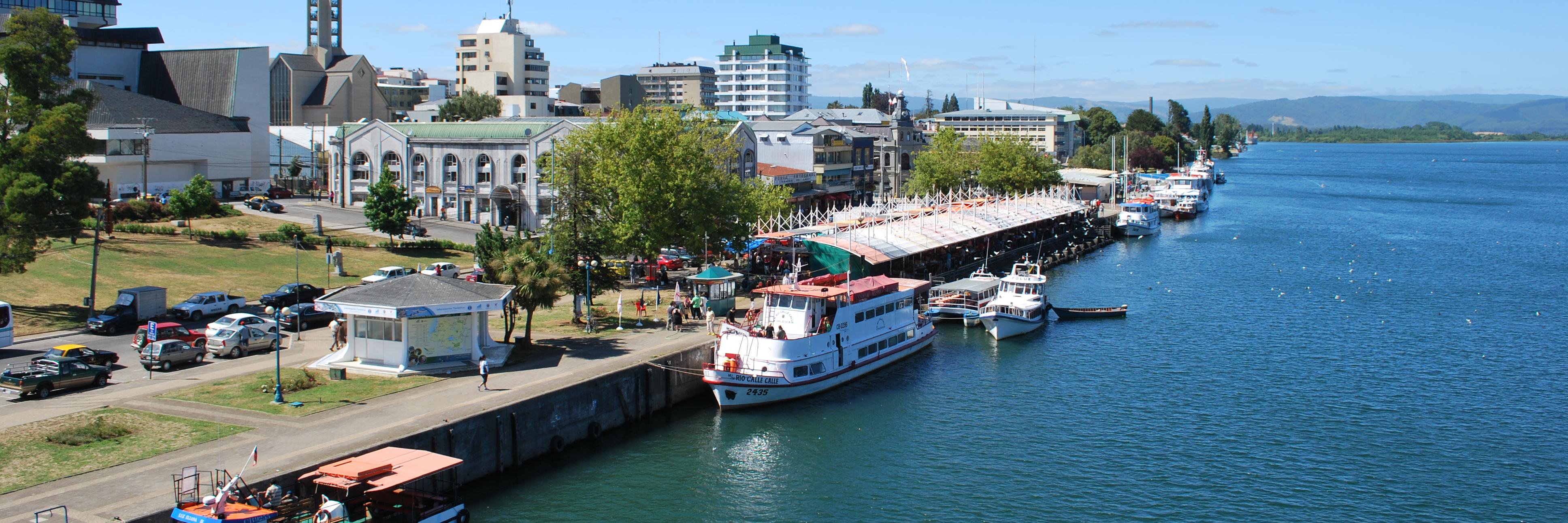 Valdivia Chile banner