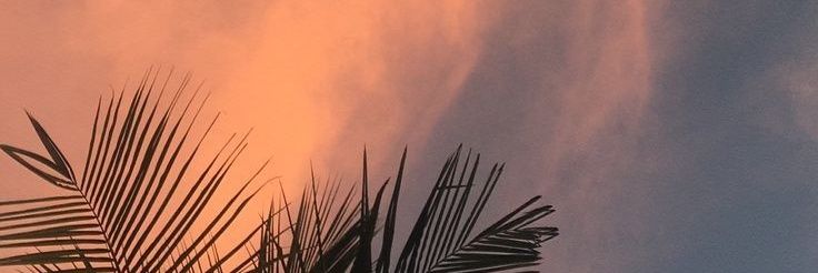 abecedest's profile banner image