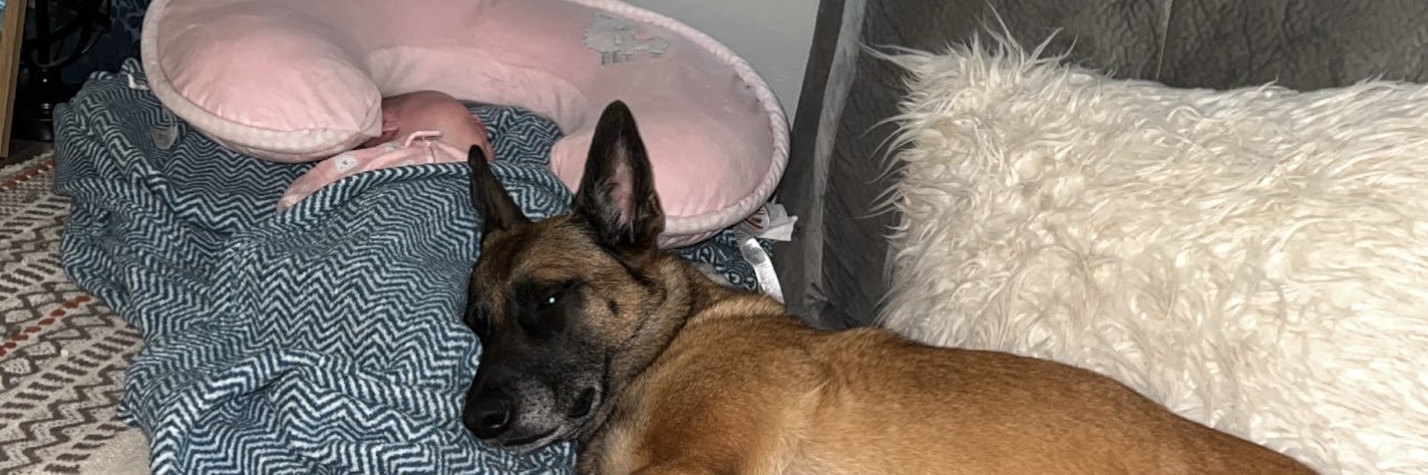 its_chunky's profile banner image