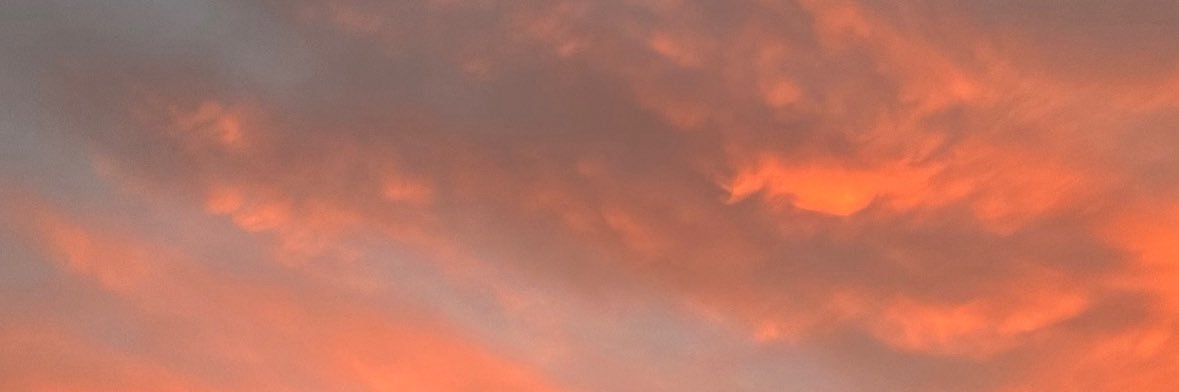 yd_aphne's profile banner image