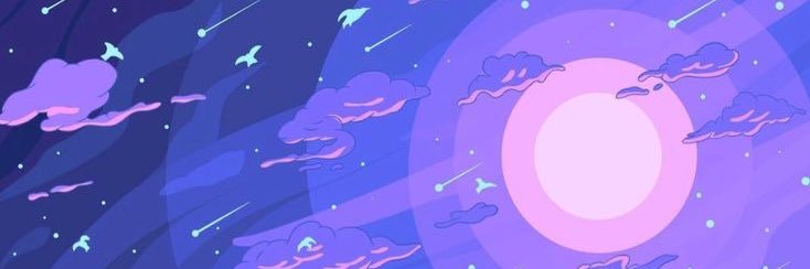 fitttonia's profile banner image