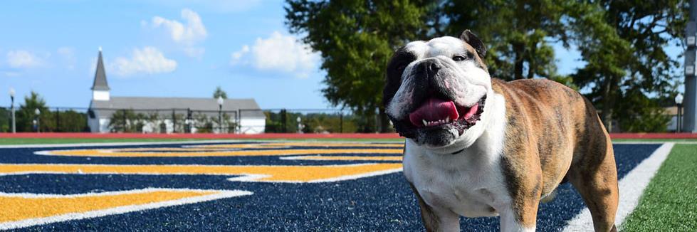 Mississippi Gulf Coast Community College banner