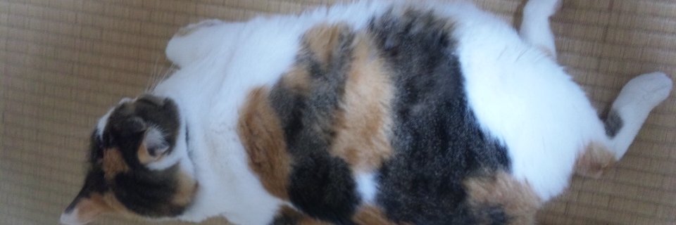 sweater3394's profile banner image