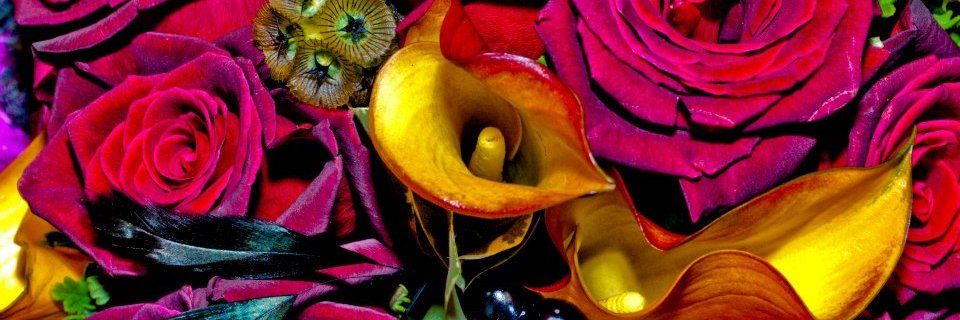traycmke's profile banner image