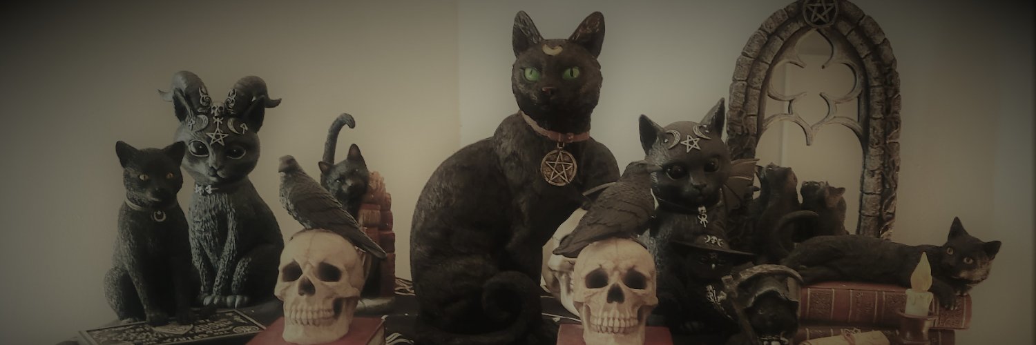 sexyrolly's profile banner image