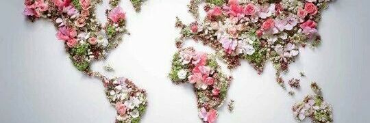 ANNCA_CT's profile banner image
