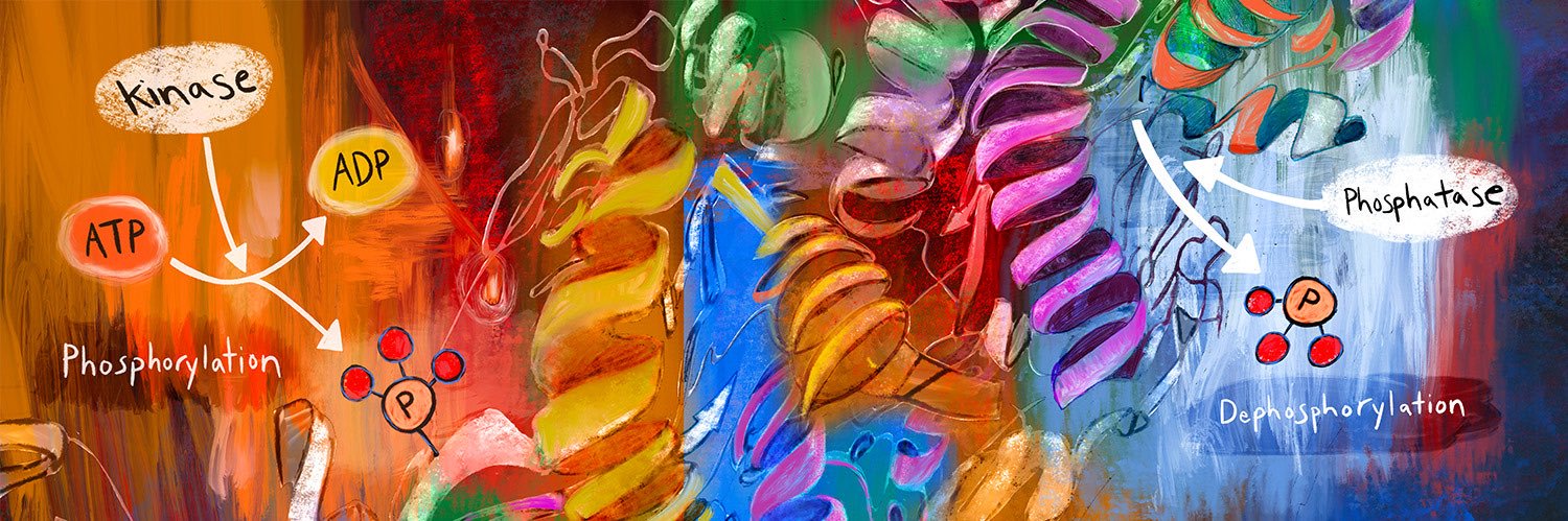 joshtulman's profile banner image