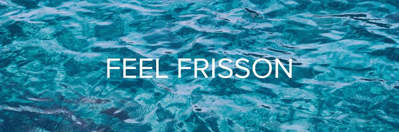 Frissonic banner