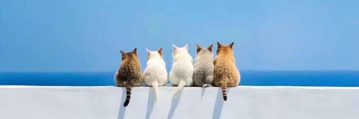 ICanSkip's profile banner image