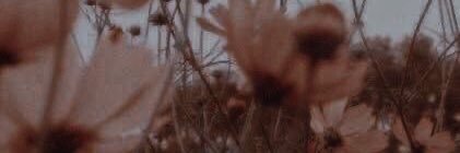TweetingTeece_'s profile banner image