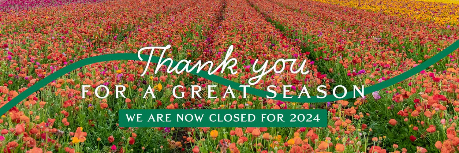 The Flower Fields banner