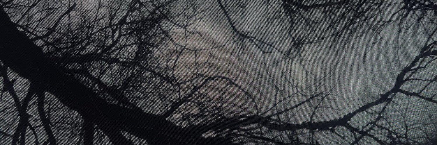 LeslyR05's profile banner image