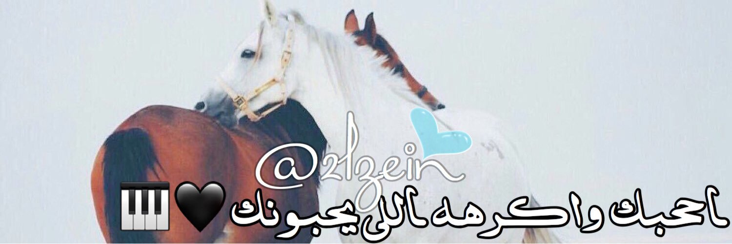 2lzein's profile banner image