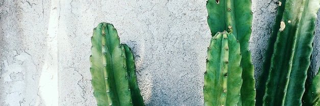 crystaaallight's profile banner image