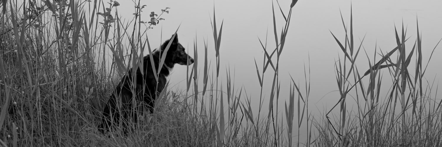 HarriKatainen's profile banner image